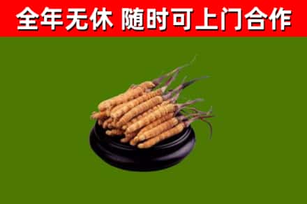 随县烟酒回收冬虫夏草.jpg