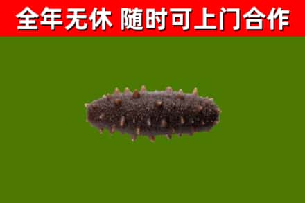 随县烟酒回收干海参.jpg